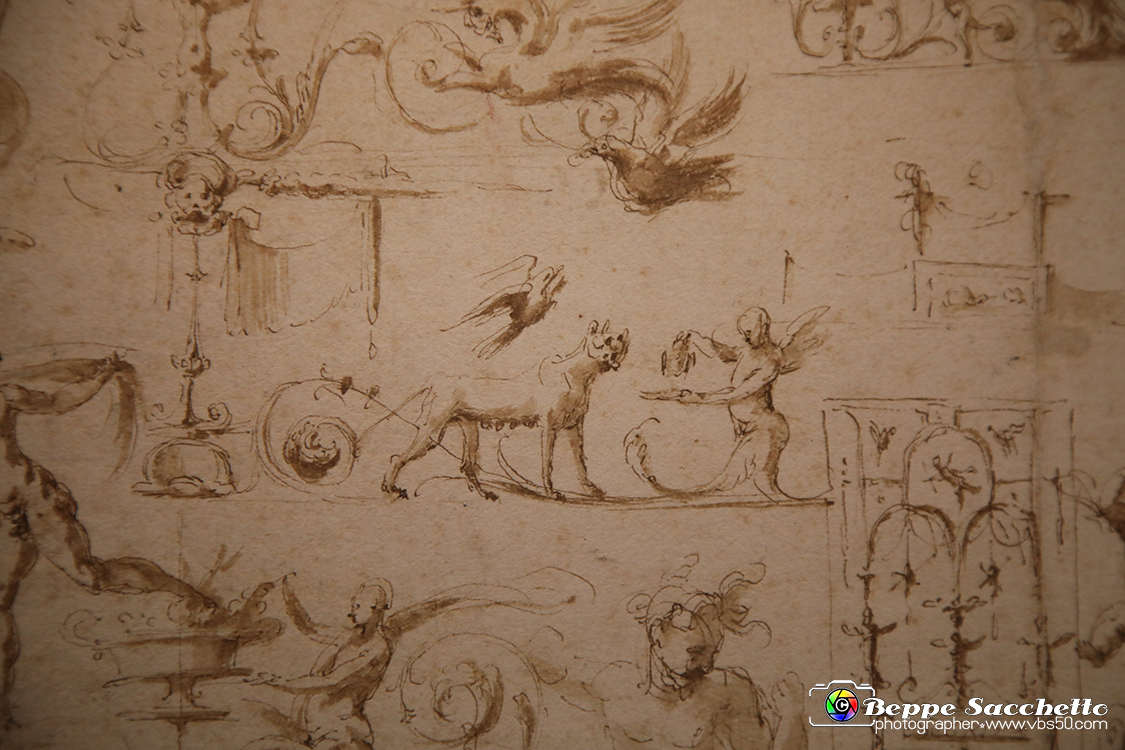 VBS_0029 - Mostra Nel segno di Raffaello.jpg